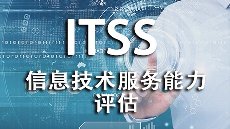驻场运维与远程运维：两种运维模式的深度解析